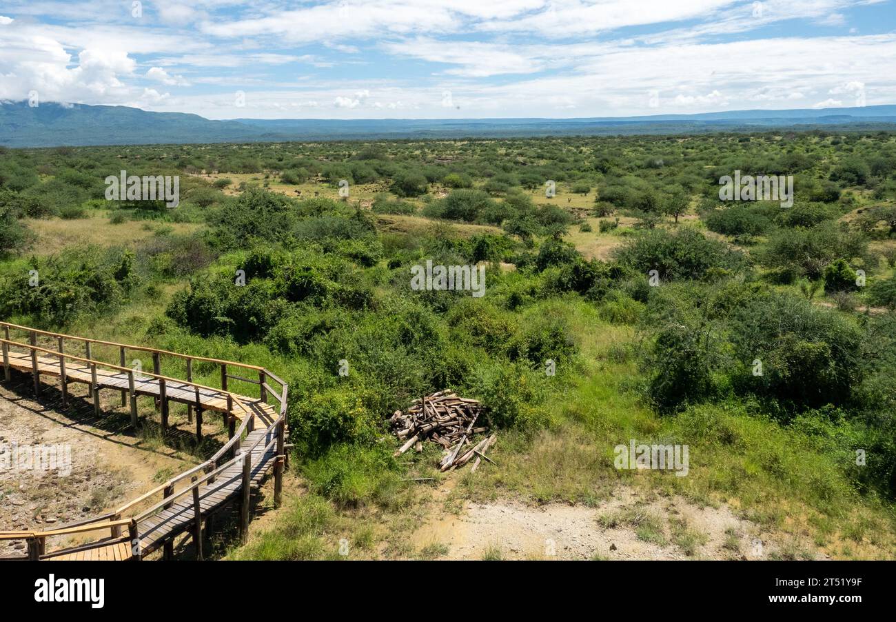 Olorgesailie, un bassin sédimentaire situé dans le sud du Kenya dans la vallée du Rift en Afrique de l'est, connu pour ses artefacts humains Banque D'Images