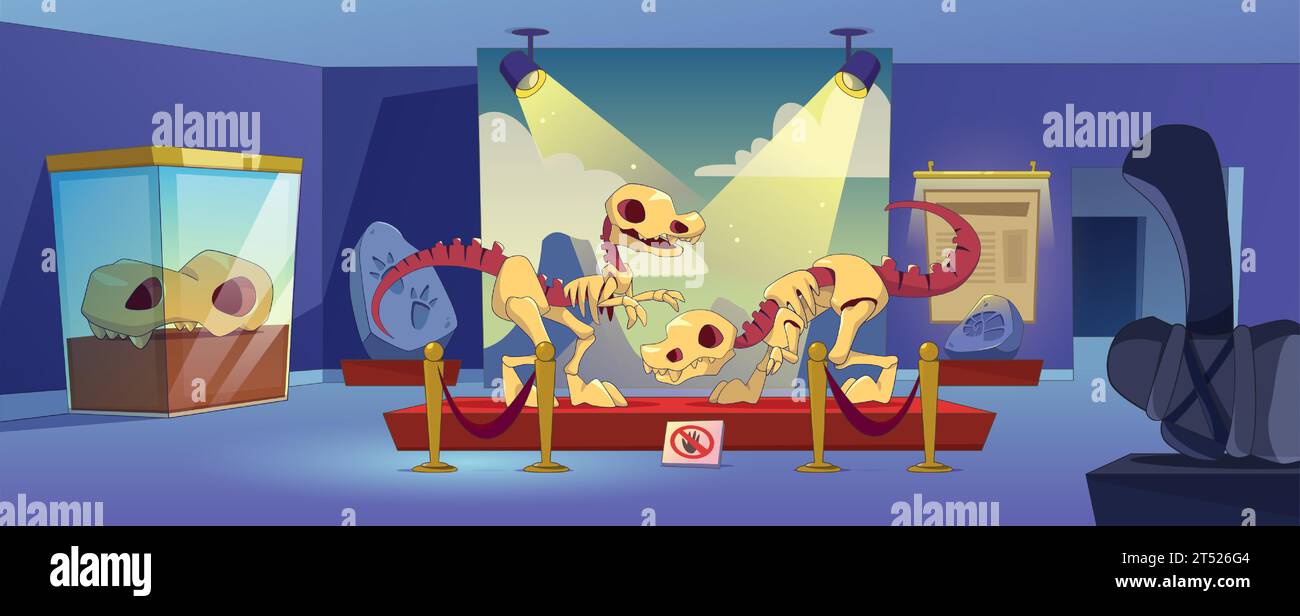 Décoration intérieure de musée d'archéologie nocturne. Illustration vectorielle contemporaine de squelettes de dinosaures et crâne, outils de l'âge de pierre, empreinte fossile à exhibi Illustration de Vecteur