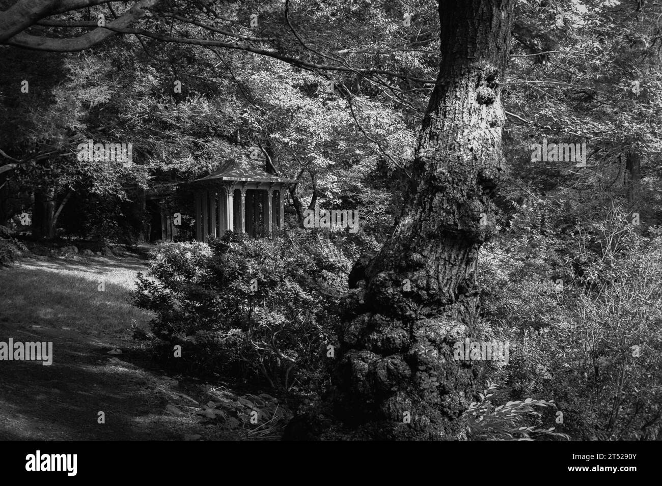Long Hill - Beverly, Massachusetts - Une pagode rouge se dresse au sommet d'un couvert de plantes luxuriantes au milieu d'un jardin un jour d'été. L'image Banque D'Images