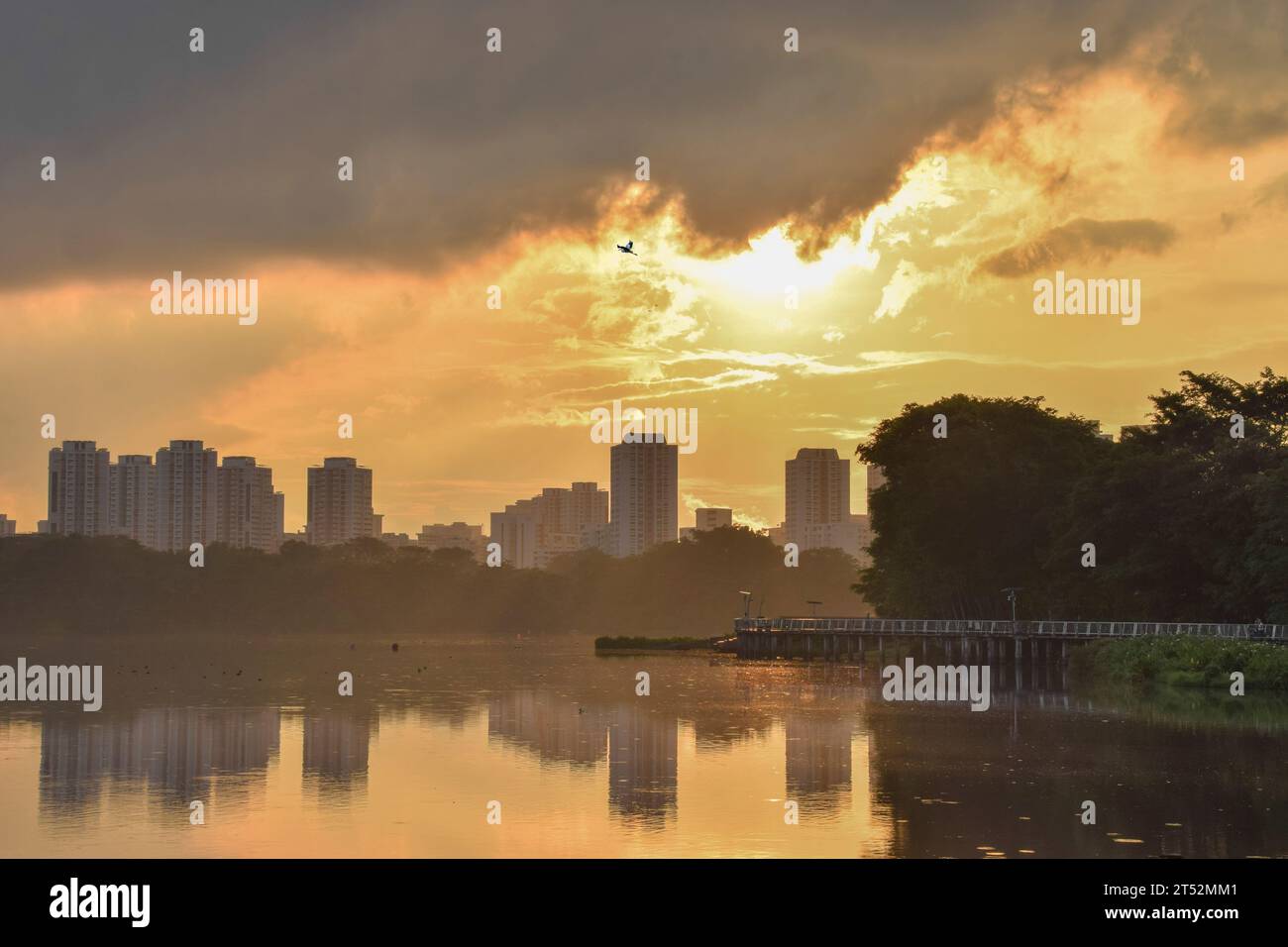 Lever de soleil au Jurong Lake Gardens à Singapour. À l'arrière-plan se trouvent des bâtiments résidentiels à Jurong East. Un héron volant haut au-dessus du lac. Banque D'Images