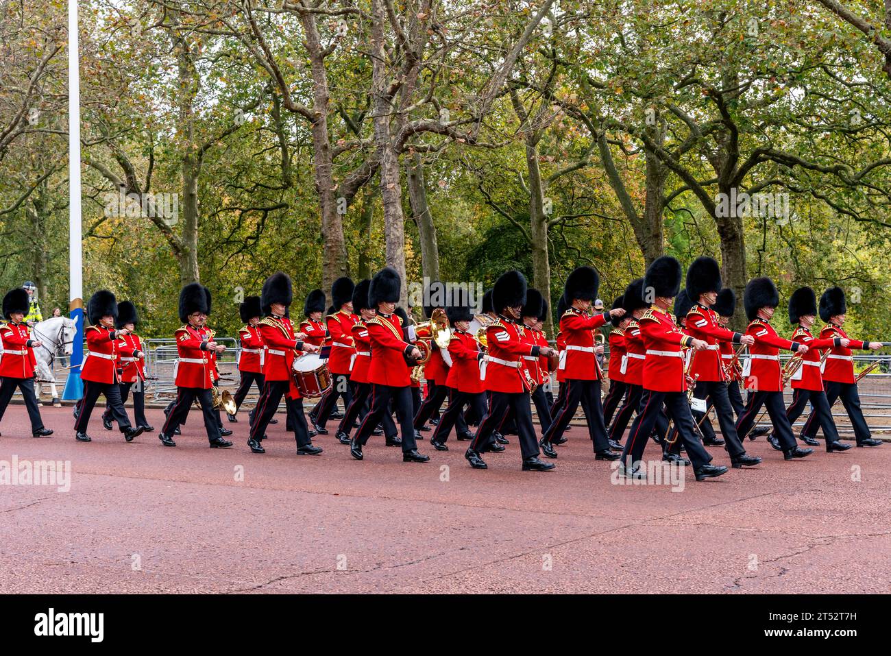 The Grenadier Guards Band descend le Mall pour la cérémonie de la relève de la garde, Londres, Royaume-Uni Banque D'Images