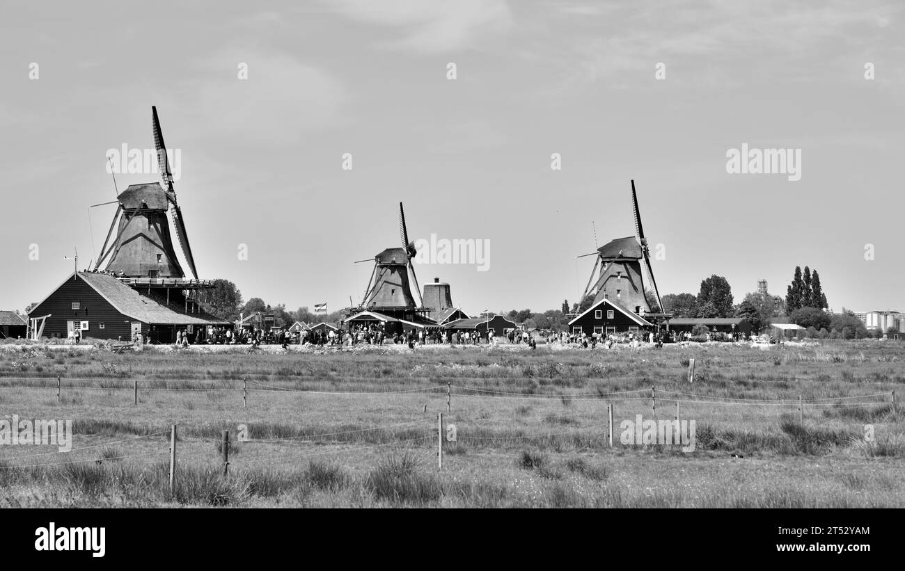 Un paysage pittoresque avec un éventail de grands moulins à vent dans un grand champ ouvert Banque D'Images