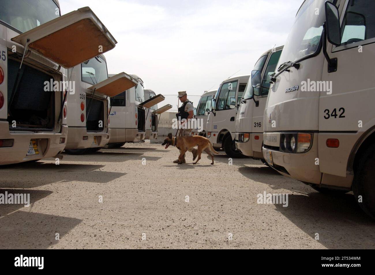 BAHREÏN, détection d'odeurs explosives, détection de piste compétente et formation, Shepard allemand, unité K-9, chien de travail militaire, Force de sécurité navale Banque D'Images