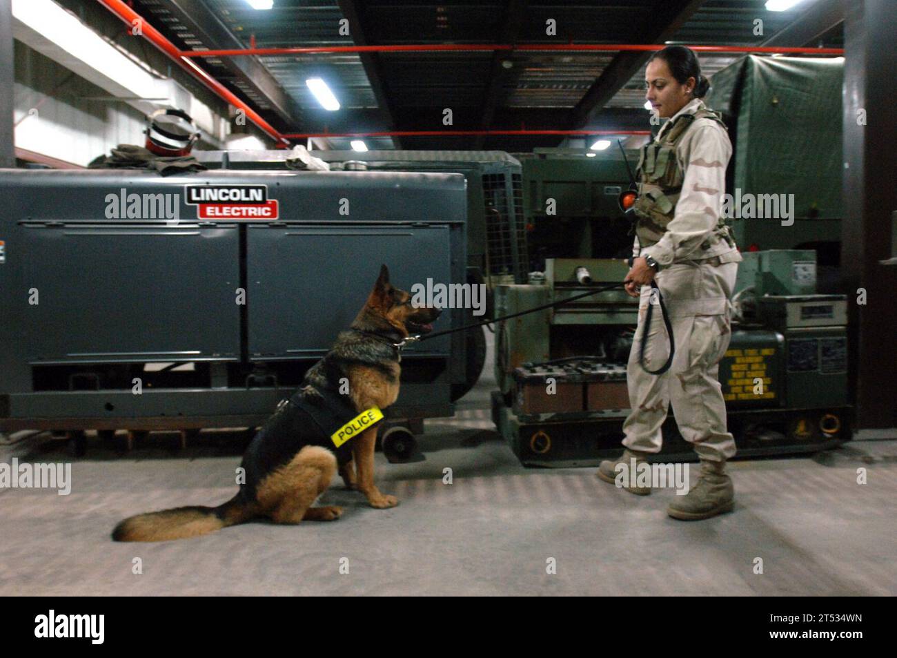 BAHREÏN, détection d'odeurs explosives, détection de piste compétente et formation, Shepard allemand, unité K-9, chien de travail militaire, Force de sécurité navale Banque D'Images