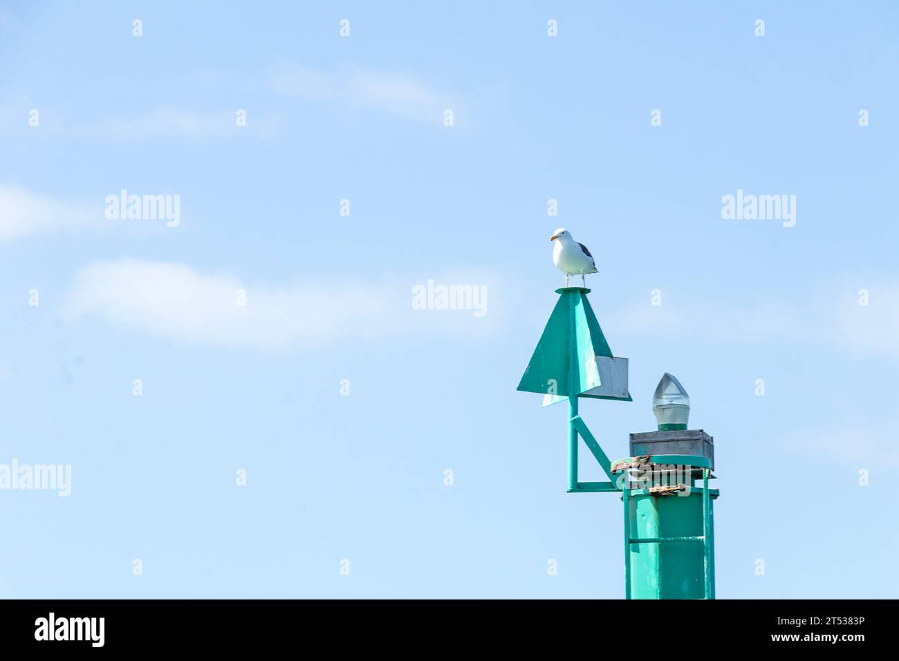 Navigation maritime et surveillance côtière : Seagull's Watchful Eye Banque D'Images