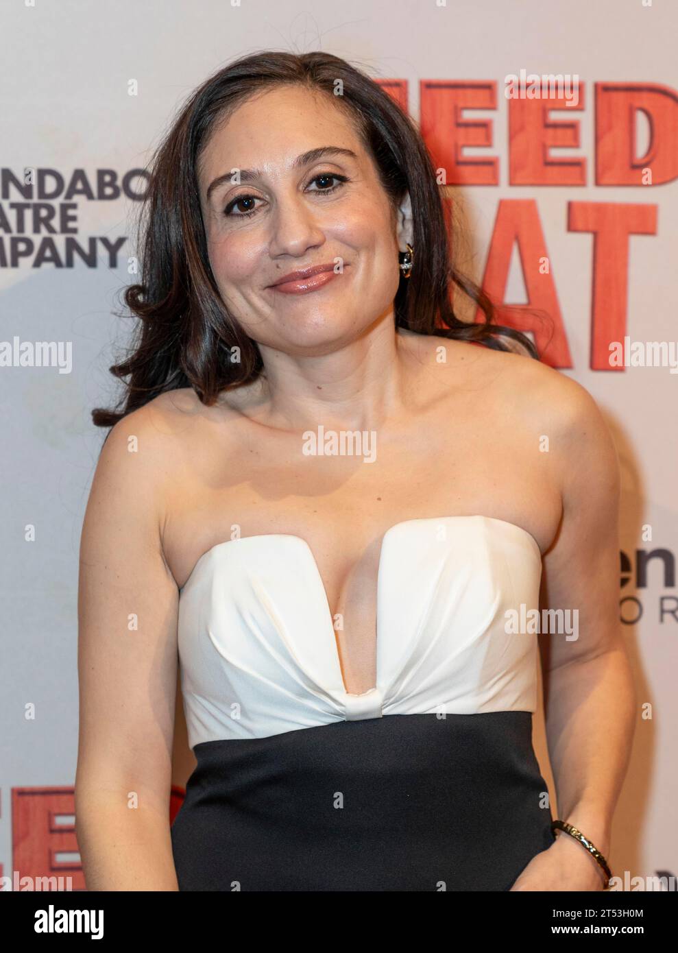 New York, New York, États-Unis. 2 novembre 2023. Lucy DeVito assiste à la soirée d'ouverture de la pièce ''I Need That'' de Roundabout Theatre Company au American Airlines Theatre à New York le 2 novembre 2023 (image de crédit : © Lev Radin/ZUMA Press Wire) À USAGE ÉDITORIAL SEULEMENT! Non destiné à UN USAGE commercial ! Banque D'Images