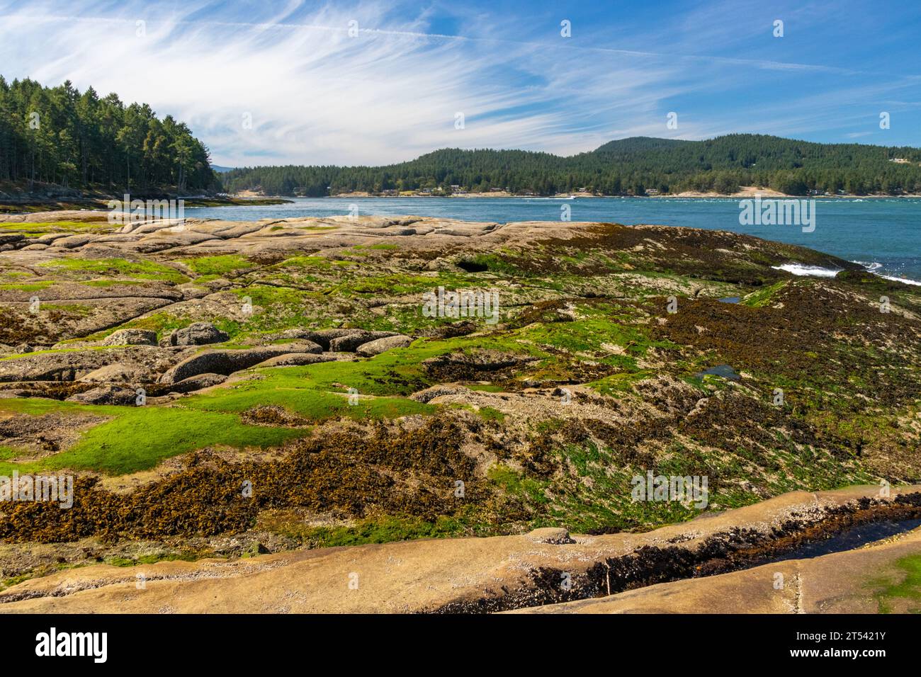 Vue de Active Pass à Georgina point sur Mayne Island, Colombie-Britannique, Canada. Le rivage rocheux est couvert d'algues. Banque D'Images