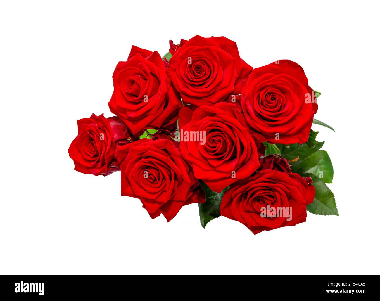 Bouquet de rose rouge isolé sur fond blanc, Banque D'Images