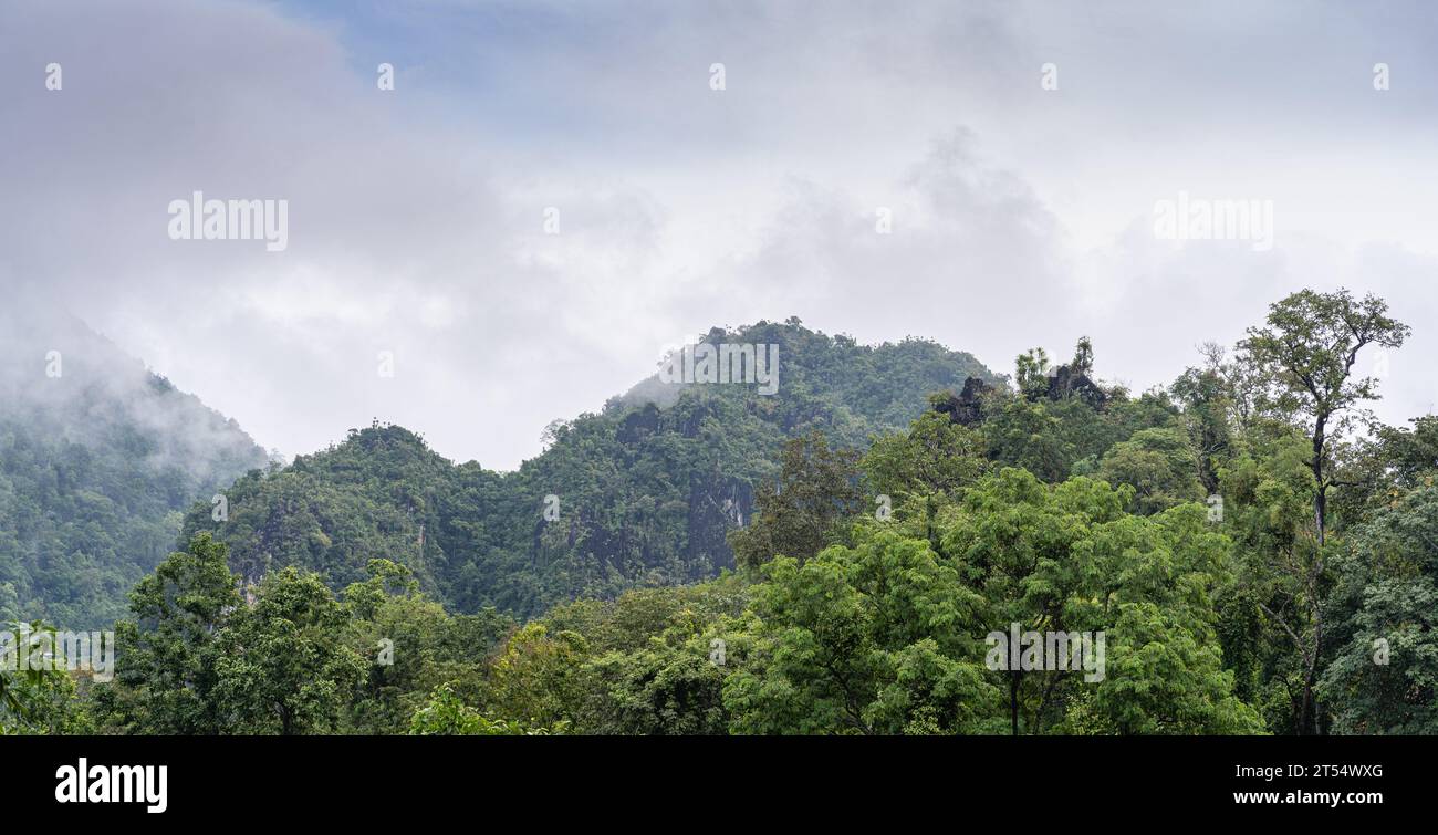 Paysage de montagne pittoresque avec forêt tropicale sous les nuages bas dans la belle vallée de campagne, Chiang Dao, Chiang Mai, Thaïlande Banque D'Images