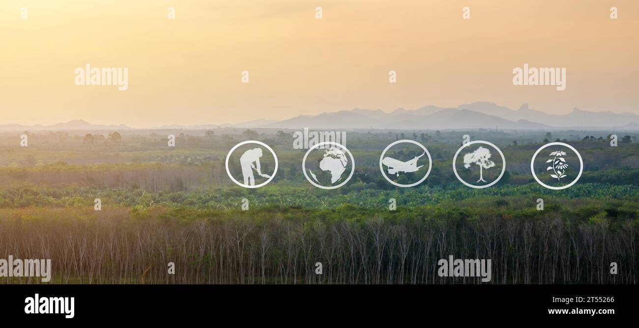 Ressources pédagogiques sur le tourisme et l'agriculture, plantation de caoutchouc, préparation de la zone pour la culture de caoutchouc, Panorama Banque D'Images