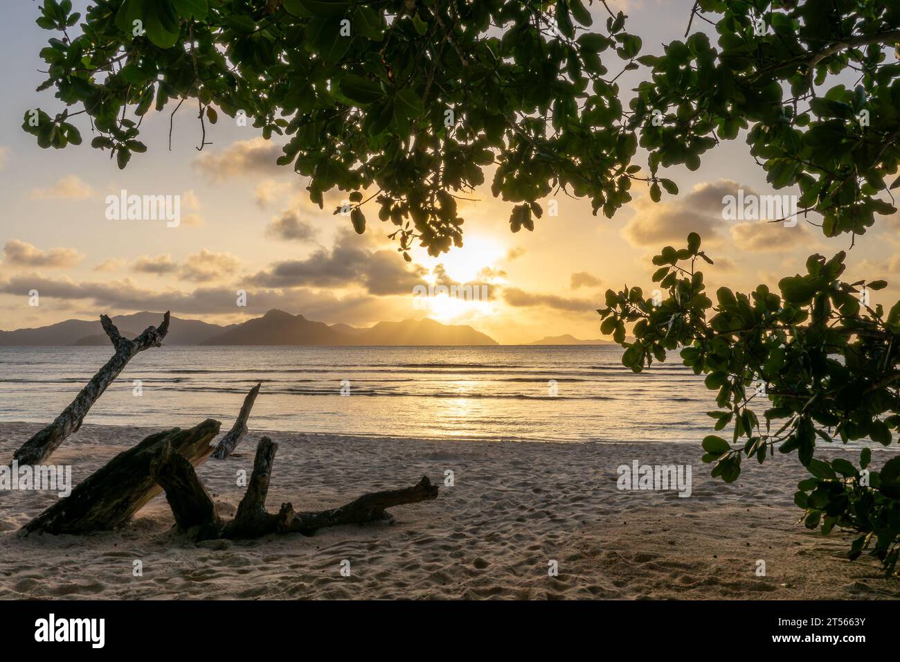 Coucher de soleil sur la plage tropicale pittoresque d'Anse Severe, île de la Digue, Seychelles Banque D'Images