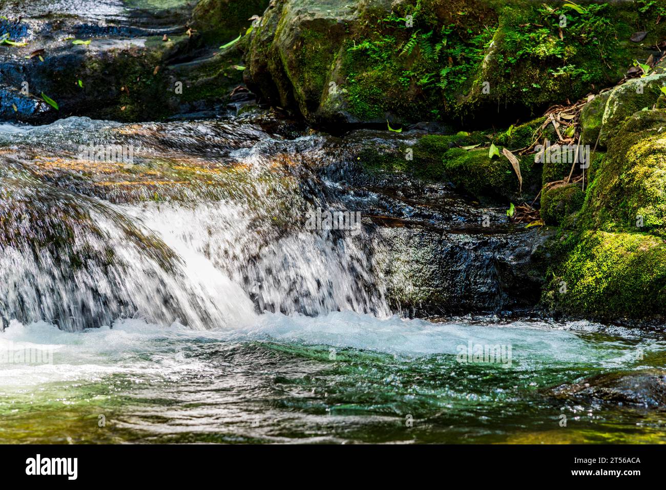 Petite cascade à l'intérieur de la végétation de la forêt tropicale préservée du parc Itatiaia à Rio de Janeiro, Brésil Banque D'Images