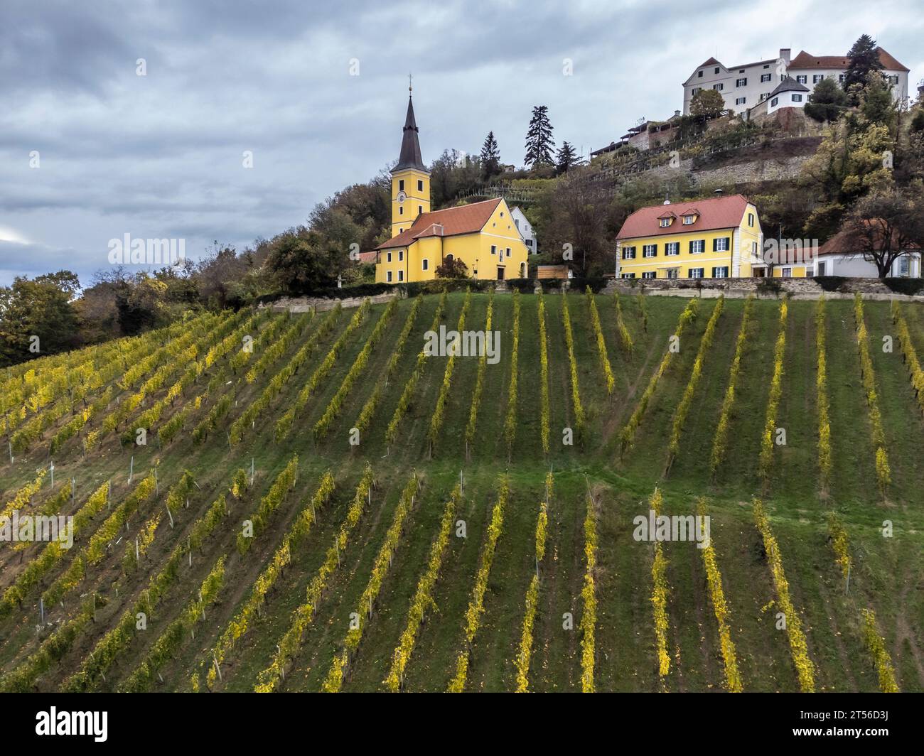 Viticulture dans le sud-est de la Styrie, château de Kapfenstein, Autriche Banque D'Images