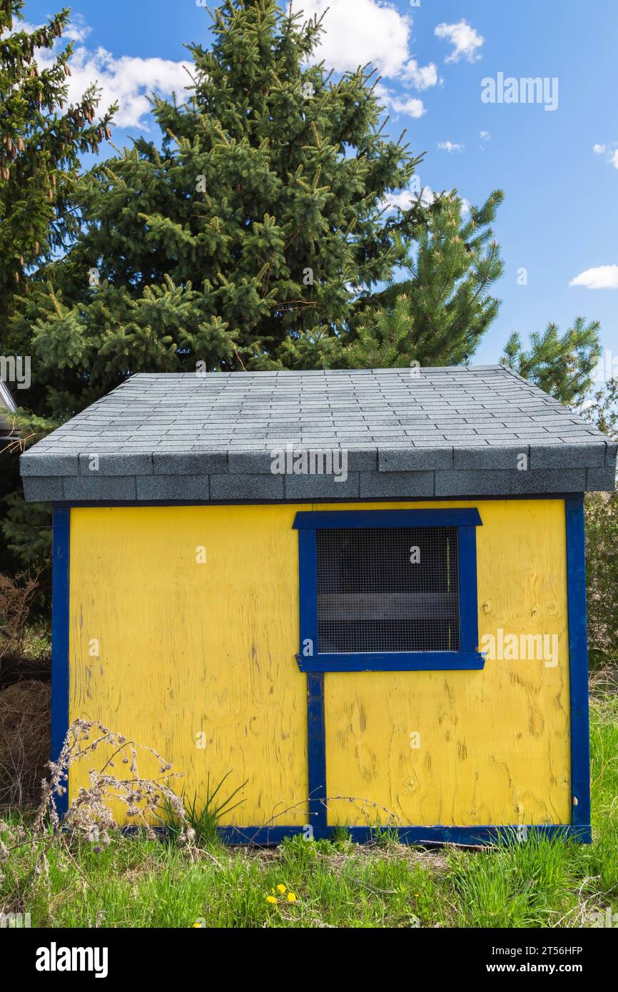 Plaque de contreplaqué peinte en jaune avec garniture bleue et hangar d'entreposage de toit en bardeaux d'asphalte gris, Québec, Canada Banque D'Images