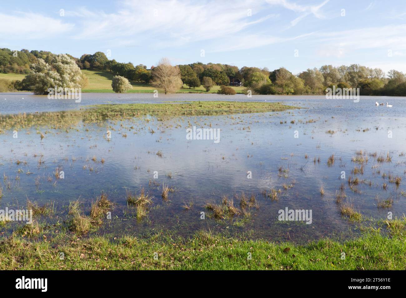 Higham, Royaume-Uni. 3 novembre 2023. Après la tempête Ciaran, il reste quelques inondations à Higham dans le Suffolk sur les rives de la rivière Brett. Crédit:Eastern Views/Alamy Live News Banque D'Images