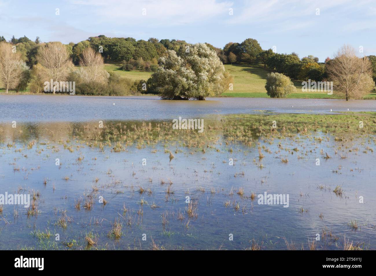 Higham, Royaume-Uni. 3 novembre 2023. Après la tempête Ciaran, il reste quelques inondations à Higham dans le Suffolk sur les rives de la rivière Brett. Crédit:Eastern Views/Alamy Live News Banque D'Images