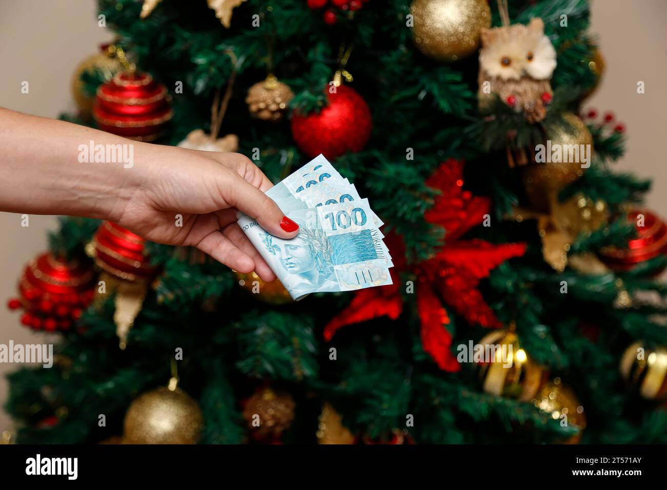 Plusieurs centaines de billets réels - de l'argent du Brésil dans une main de femmes avec des ongles rouges - paiement pour les achats de Noël et du nouvel an Banque D'Images