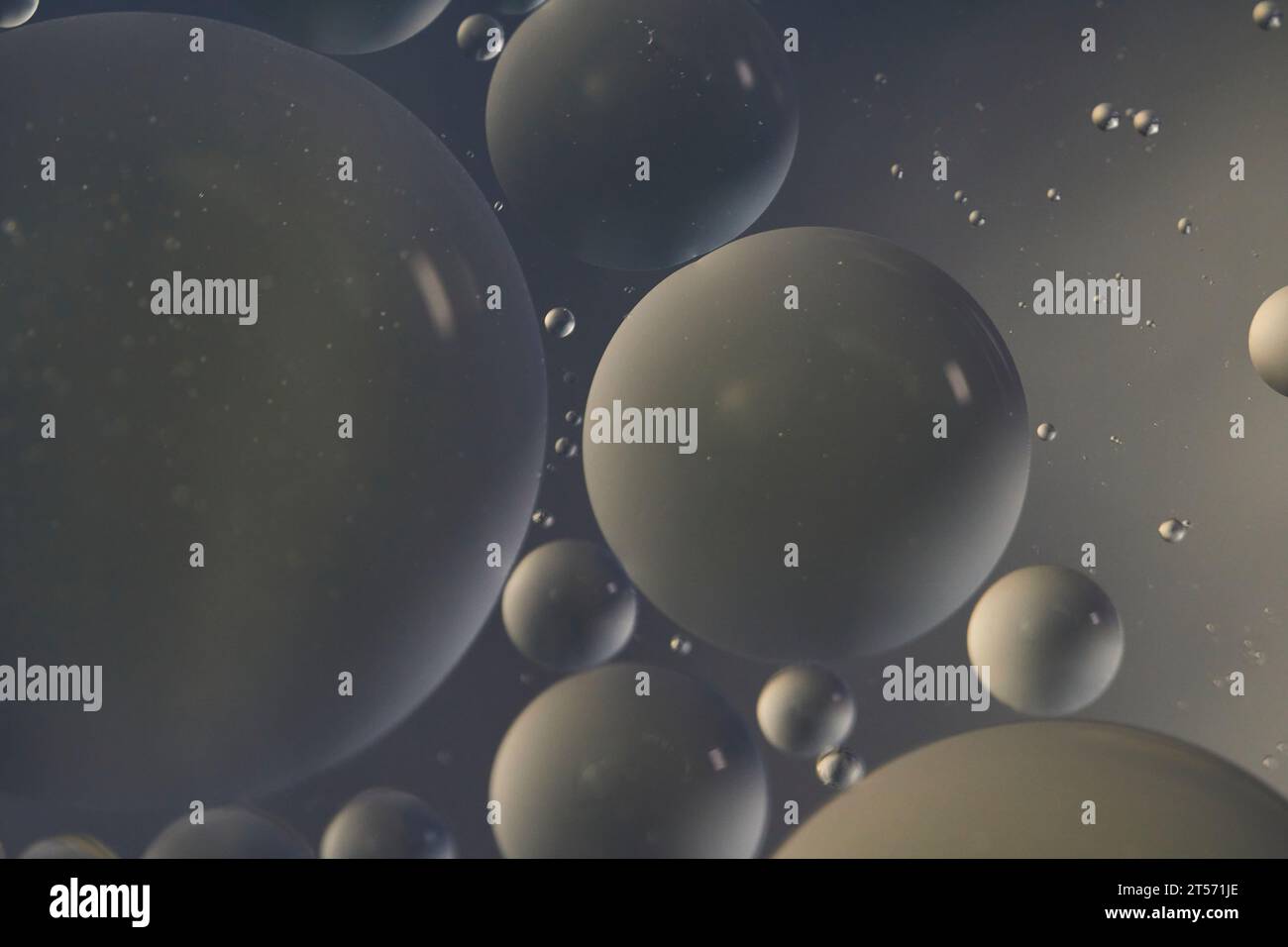 Vue de dessus les bulles d'huile tombent sur l'eau avec fond coloré, concept de photographie macro Banque D'Images