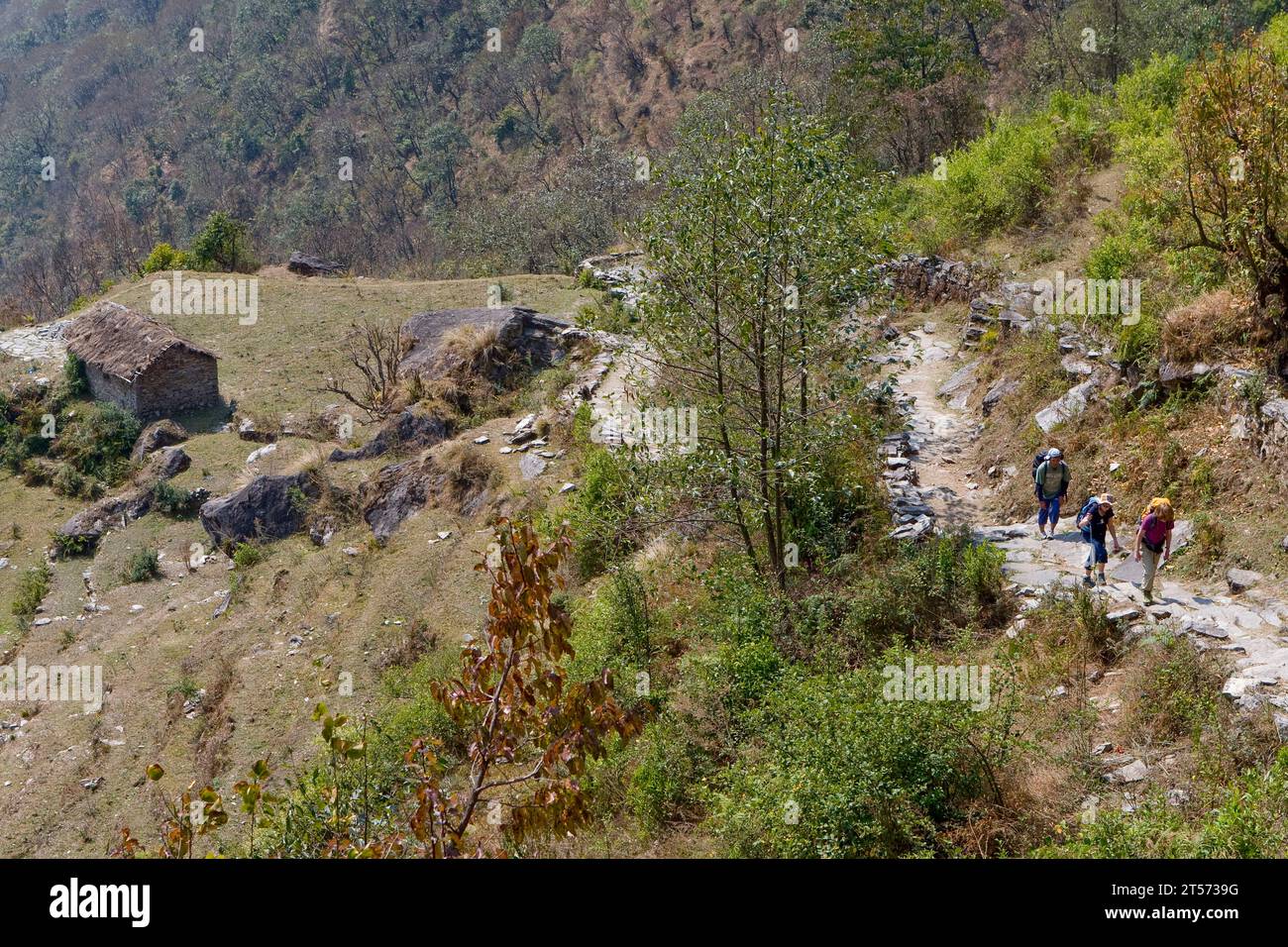 TREKKING AU NÉPAL Banque D'Images