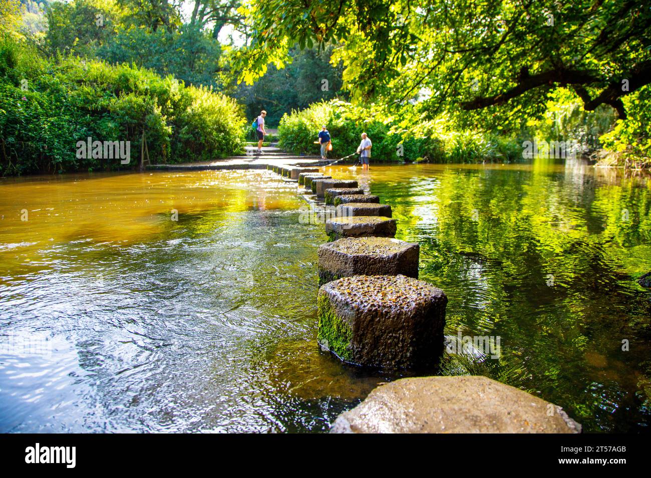 Box Hill Stepping Stones sur la rivière Mole, North Downs, Surrey, Angleterre Banque D'Images