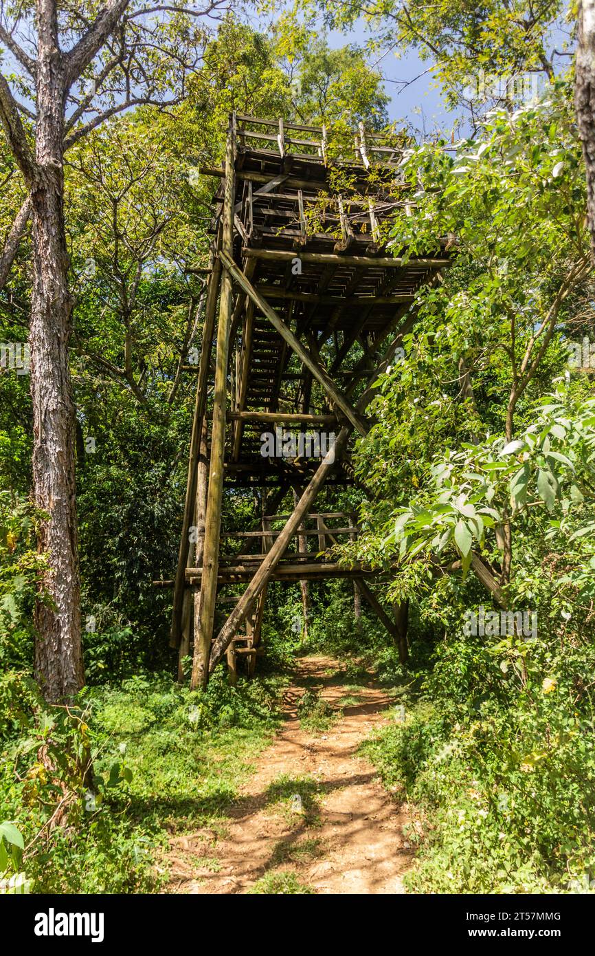 Tour d'observation en ruine dans la réserve forestière de Kakamega, Kenya Banque D'Images