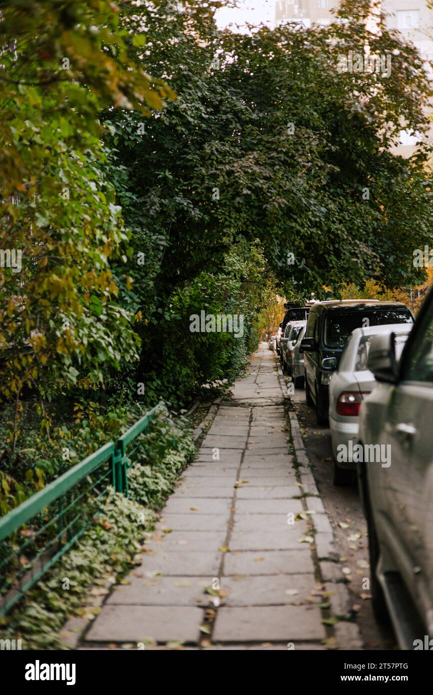 Chemin piétonnier en dalles dans la cour d'un immeuble d'appartements, entouré de végétation verte et de voitures garées. Architecture de l'ONU soviétique Banque D'Images