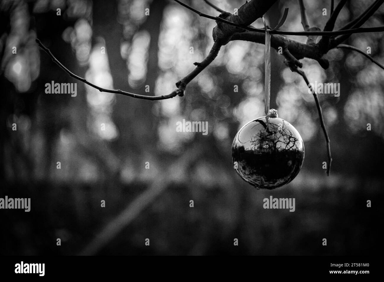 Gros plan de la décoration de noël accrochée à l'arbre Banque D'Images