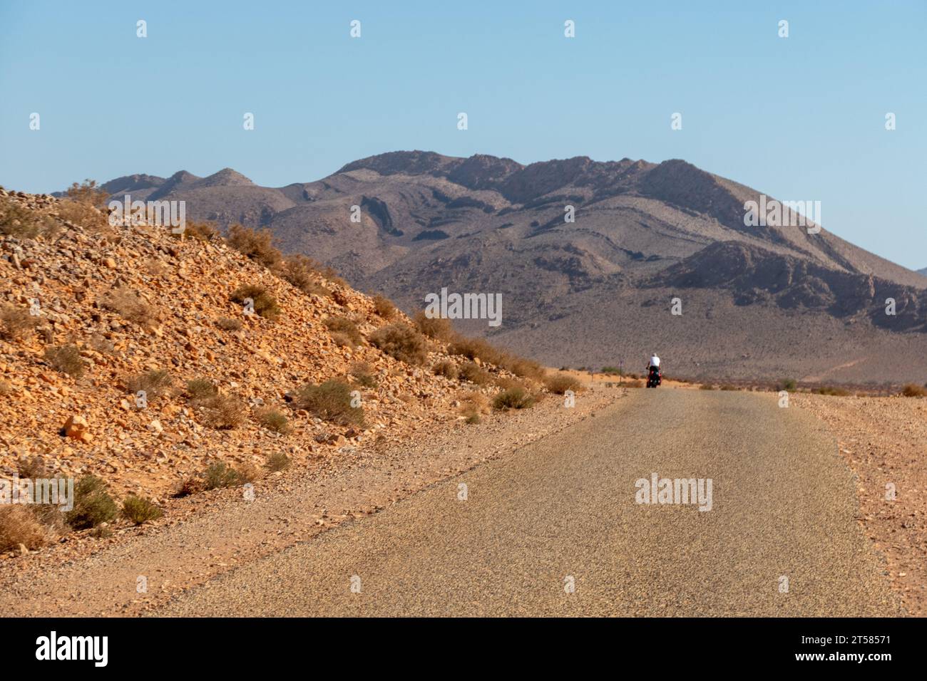 Cycliste sur la route du désert dans le sud du Maroc Banque D'Images