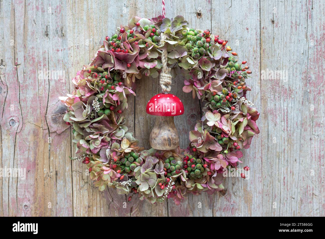 couronne d'hortensia fklows, hanches roses et baies de lierre accrochées au mur en bois Banque D'Images