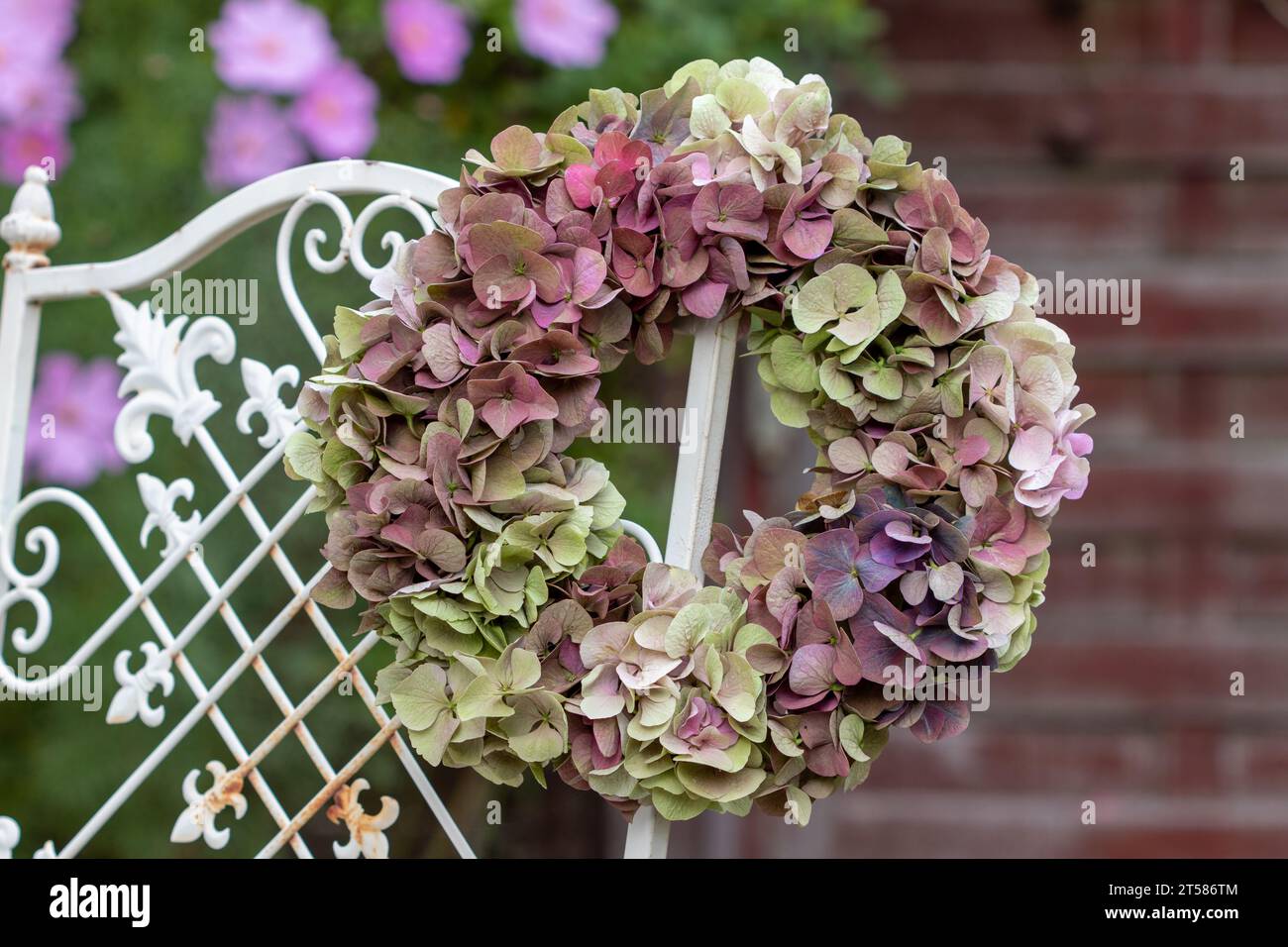 couronne de fleurs d'hortensia accrochées à la chaise de jardin Banque D'Images