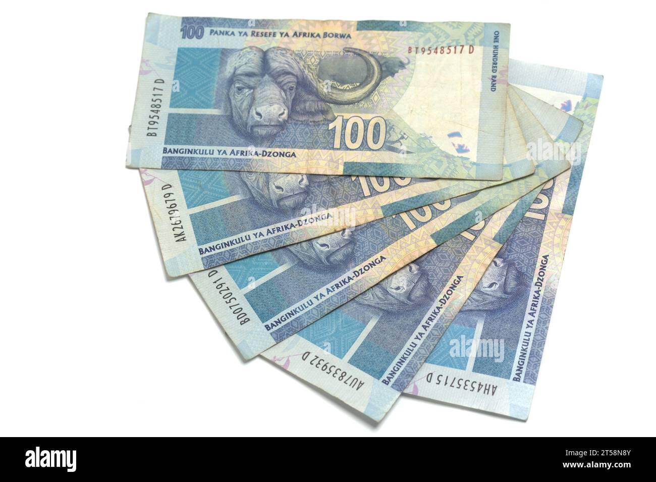 Billets de banque sud-africains de 100 rands. Banque D'Images