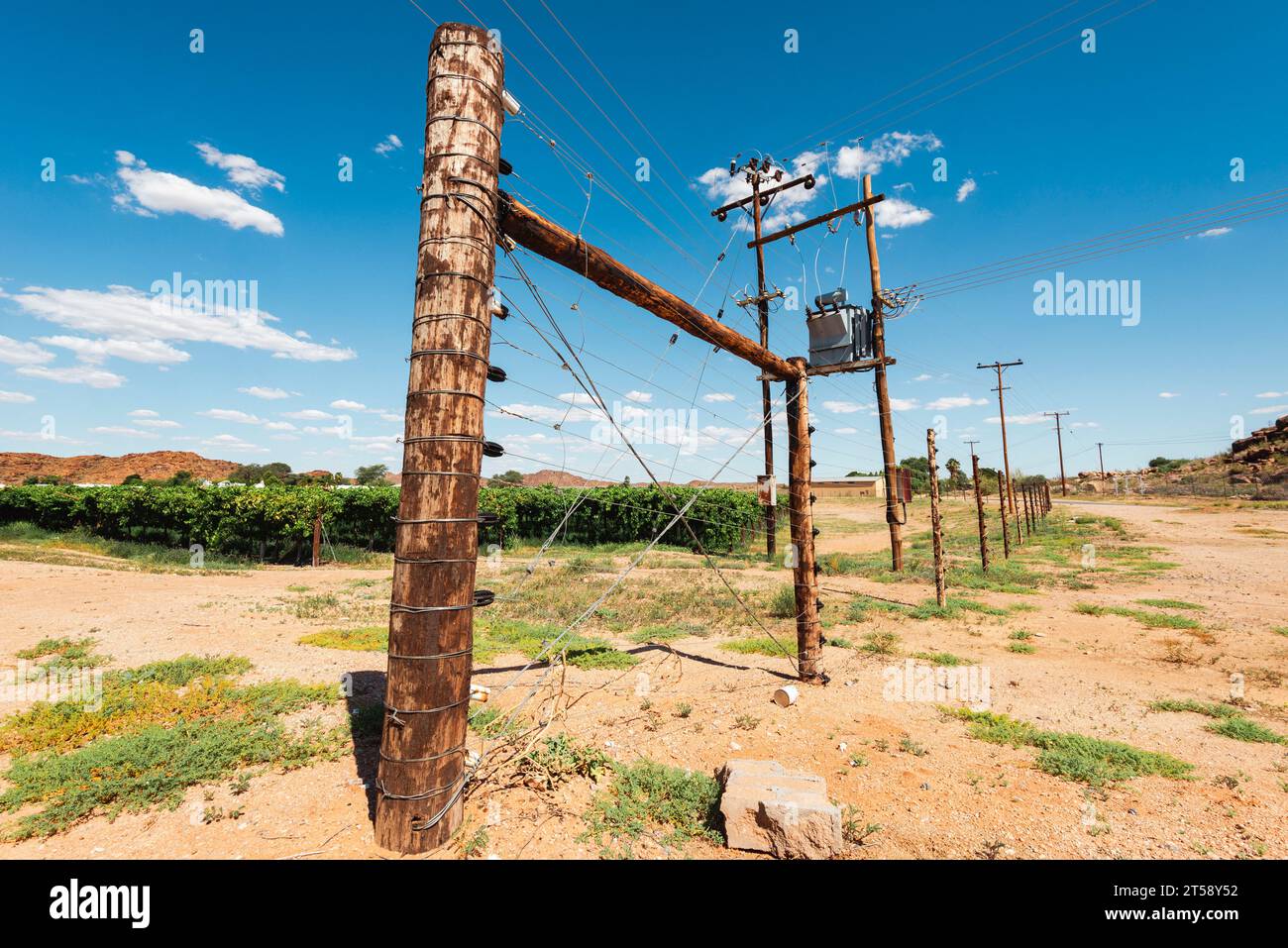 Des câbles électriques longent un vignoble en Afrique du Sud Banque D'Images