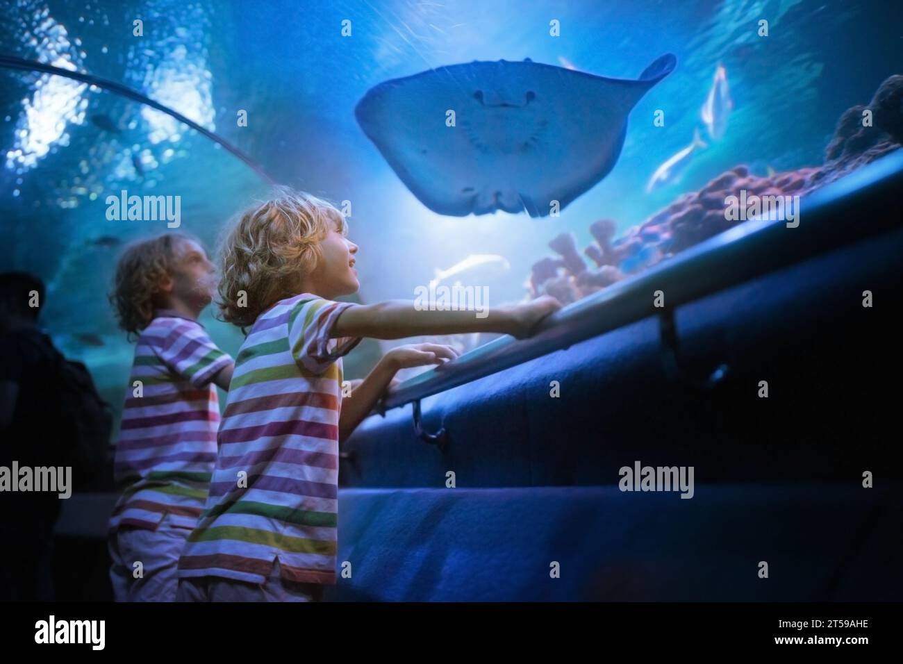Famille dans l'aquarium. Les enfants regardent les poissons tropicaux, la vie marine. Enfant regardant les animaux de mer dans le grand océanarium. Musée de la vie océanique. Banque D'Images