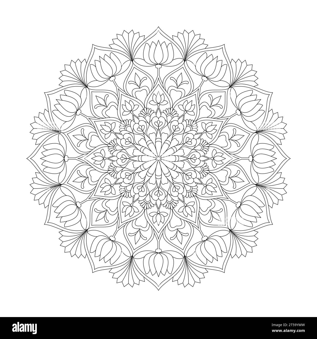 Pétales paisibles, capacité à se détendre, expériences cérébrales, havre harmonieux, Portraits paisibles, motif mandala Blossoming Beauty. Illustration de Vecteur