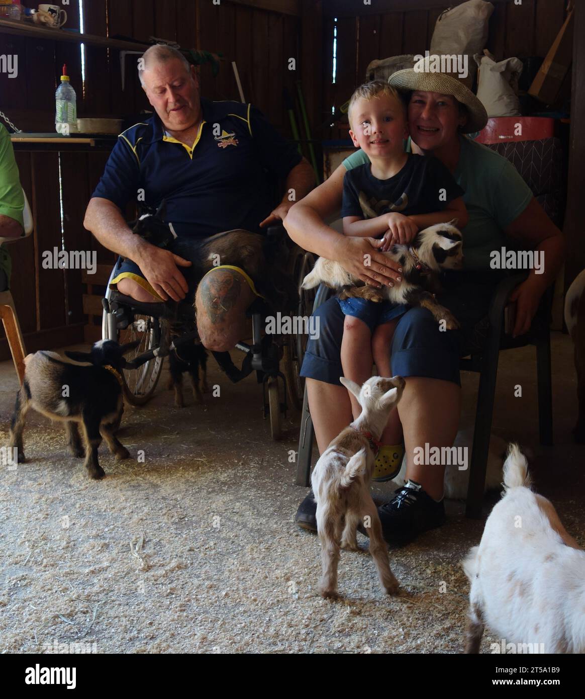 Personnes avec des chèvres naines nigérianes, ferme de câlins de chèvres, près de Ravenshoe, Queensland, Australie. Pas de MR Banque D'Images