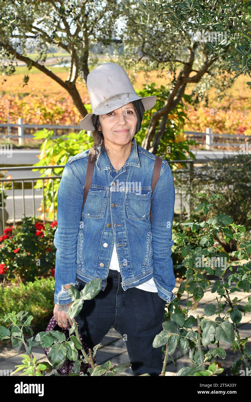 Carneros, États-Unis. 03 novembre 2023. Linda Perry pose pendant le jour 3 de Live in the Vineyard at Calmere Estate Winery le 3 novembre 2023 à Napa, en Californie. Photo : Casey Flanigan/imageSPACE/Sipa USA crédit : SIPA USA/Alamy Live News Banque D'Images