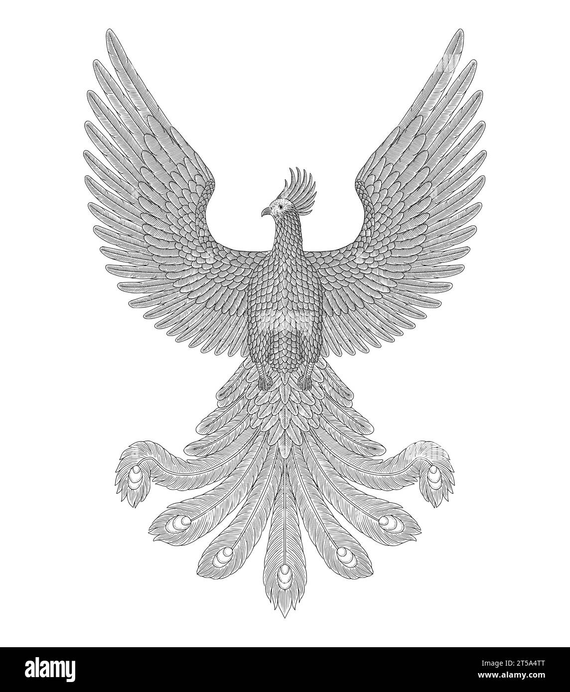 Phoenix oiseau, gravure vintage dessin illustration de stye Illustration de Vecteur