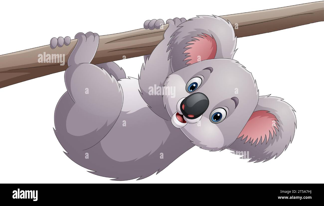 Koala grimpant sur un arbre Banque d'images vectorielles - Alamy