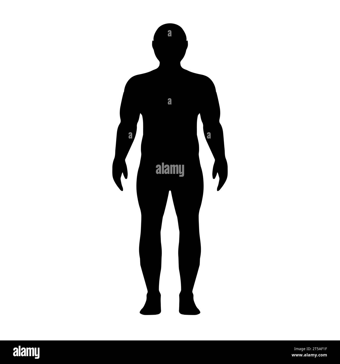 La silhouette de l'homme trapu, conçu de manière athlétique, épouse les contours des muscles de soulagement de l'athlète Illustration de Vecteur