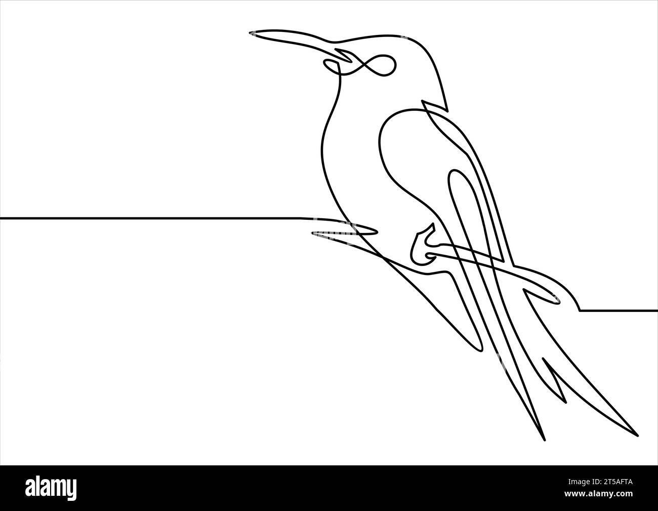Oiseau en ligne continue. illustration. Dessin au trait unique. Concept pour logo, carte, bannière, affiche, flyer Illustration de Vecteur