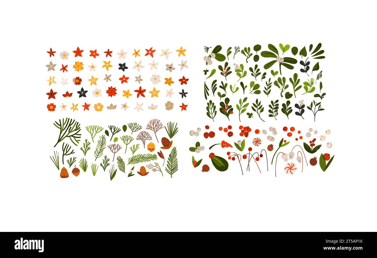 Dessin animé abstrait vectoriel dessiné à la main Joyeux Noël et bonne année éléments d'illustrations clipart ensemble avec fleur, feuilles et pin branche.Merry Illustration de Vecteur
