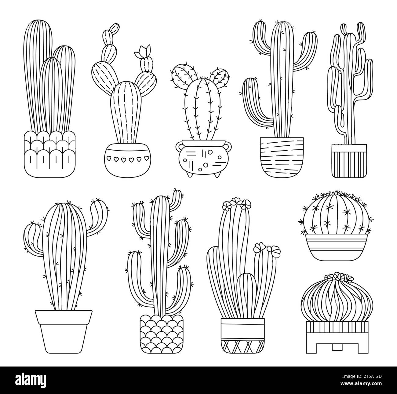 Cactus dans un ensemble de doodle en pot de fleurs. Plantes de maison à la mode exotiques dessinées à la main avec collection en pot isolé. Diverses plantes de maison de cactus mexicains de dessin animé linéaire. Contour de décor de jungle urbaine ou vecteur de tatouage Illustration de Vecteur
