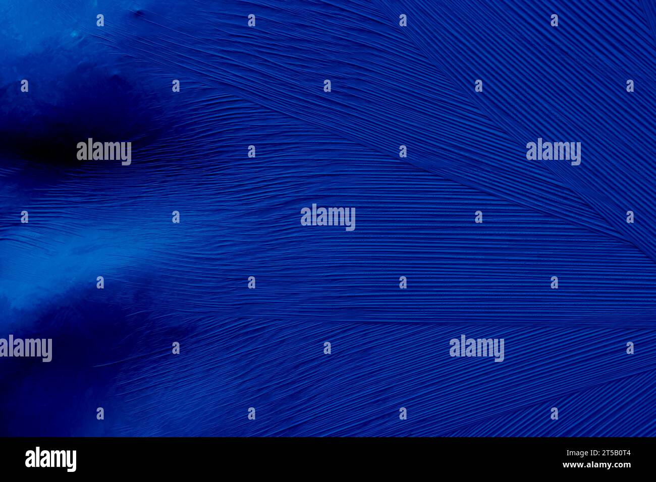 Fond en feuille plastique bleu abstrait avec effet 3D et bulles Banque D'Images