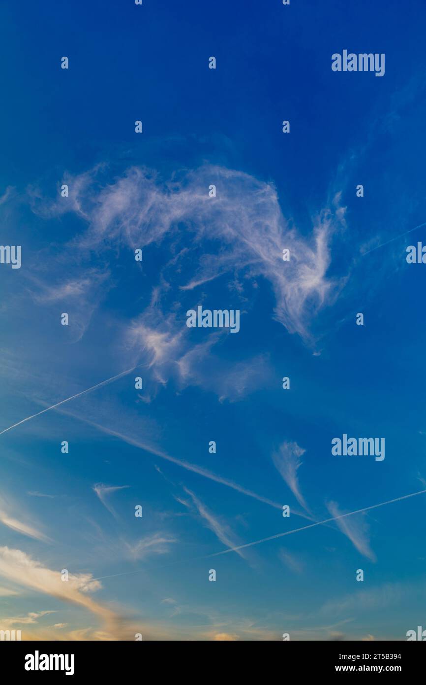 Les cirrus against a blue sky Banque D'Images