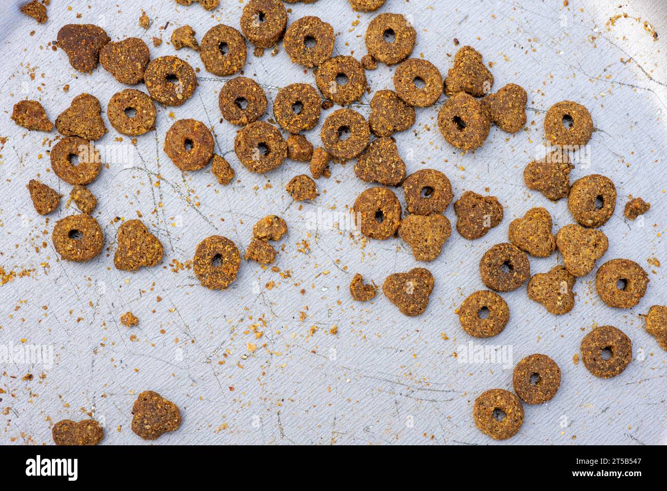 Gros plan de nourriture sèche pour chat dans un bol d'alimentation. Banque D'Images