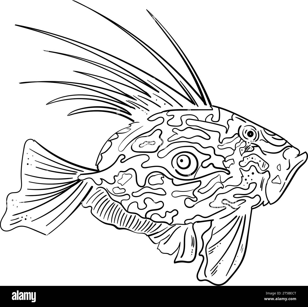 Croquis de poisson de John Dory. poisson marin avec une vue latérale d'un contour noir isolé avec des nageoires et une queue redressées. une esquisse dessinée à la main dans le style Illustration de Vecteur Croquis de poisson de John Dory. poisson marin avec une vue latérale d'un contour noir isolé avec des nageoires et une queue redressées. une esquisse dessinée à la main dans le style Illustration de Vecteur