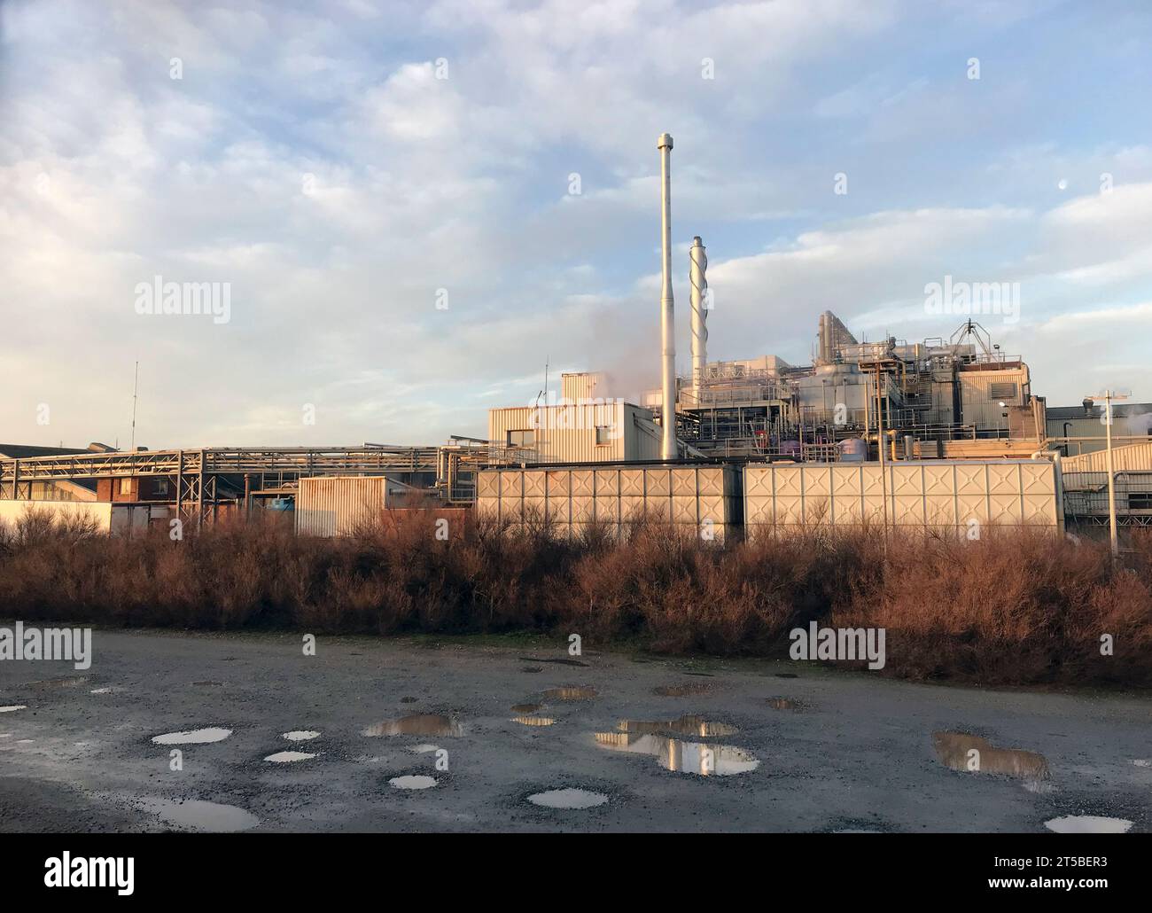 birds eye usine de transformation des aliments surgelés lowestoft suffolk angleterre Banque D'Images