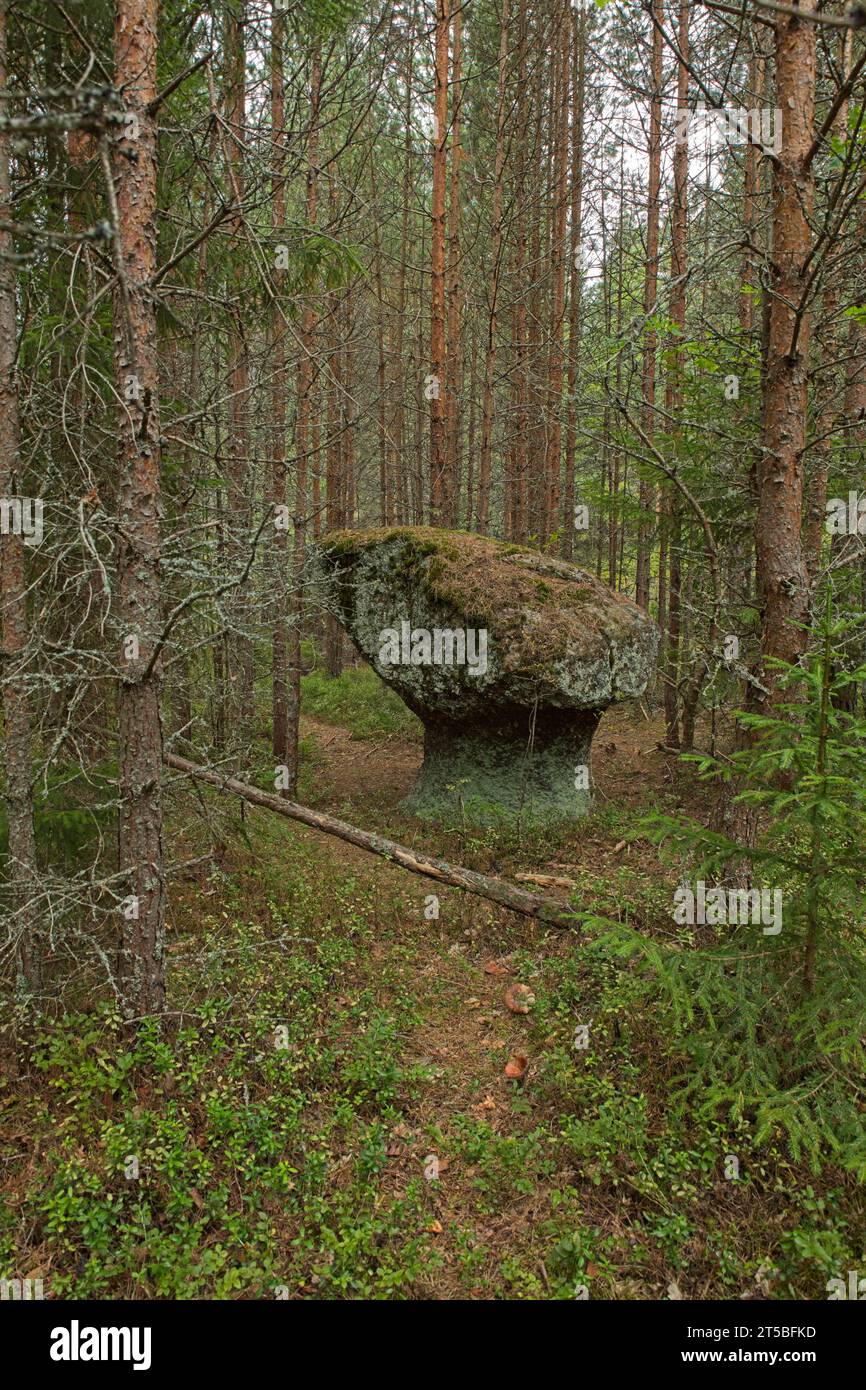 Chanterelle rocher (rauk) est un pilier rocheux (souvent une élévation en forme de pilier en forme de champignon) créé par les forces atmosphériques, Veckarby, Finlande. Banque D'Images