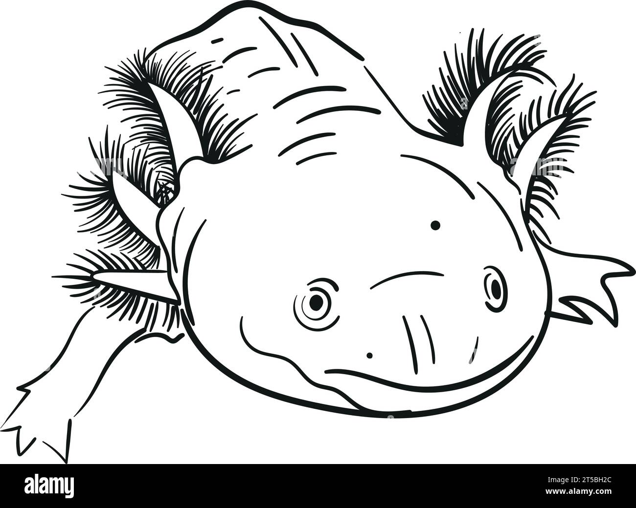 Illustration de dessin à la main vectoriel Salamander Axolotl en couleur noire isolée sur fond blanc. Esquissez une illustration au trait Pour la conception, livre, web , Illustration de Vecteur