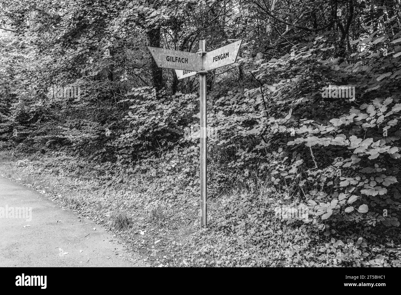 Promenez-vous sur le sentier Bargoed dans le quartier de Caerphilly au sud du pays de Galles. Banque D'Images